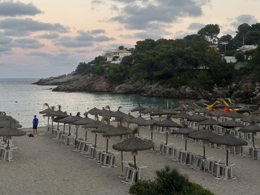 Ein Strand mit vielen Sonnenschirmen aus Stroh und Bäumen auf einem Hang im Hintergrund.