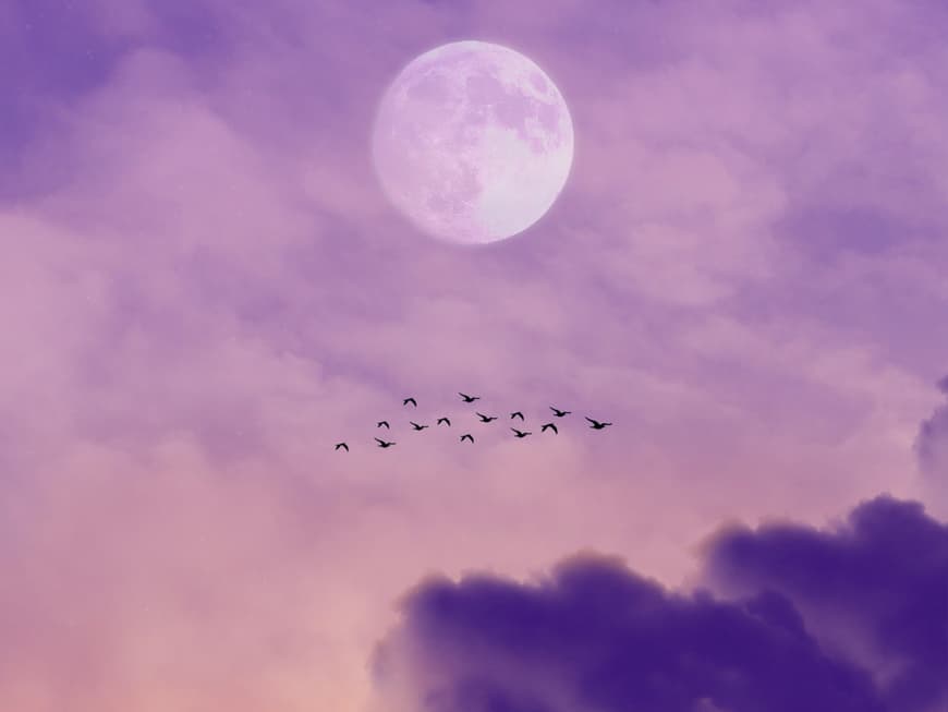 Supervollmond am lila Himmel