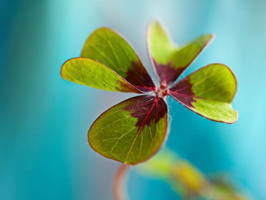 10 Schritte zum Glück 10 Schritte zum Glück
