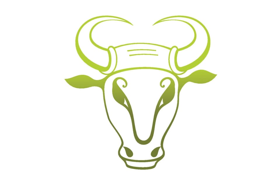Stier