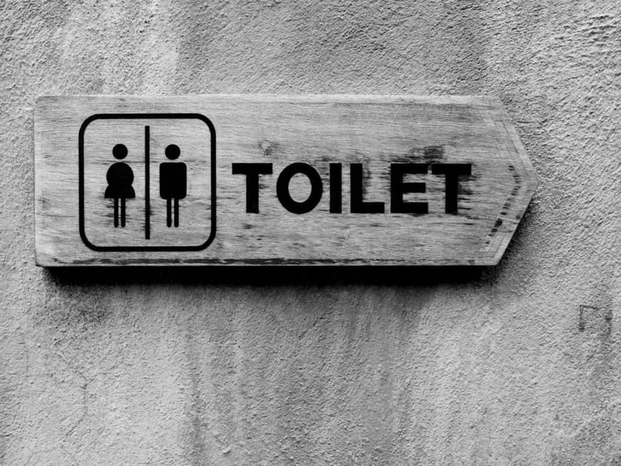 Traum Toilette