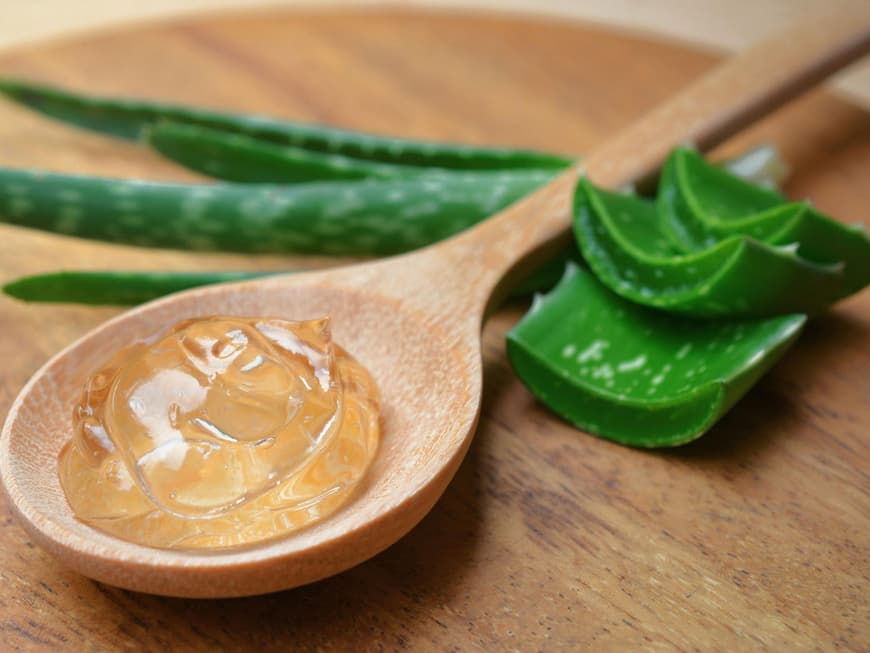 Aloe Vera hilft bei Sonnenallergie