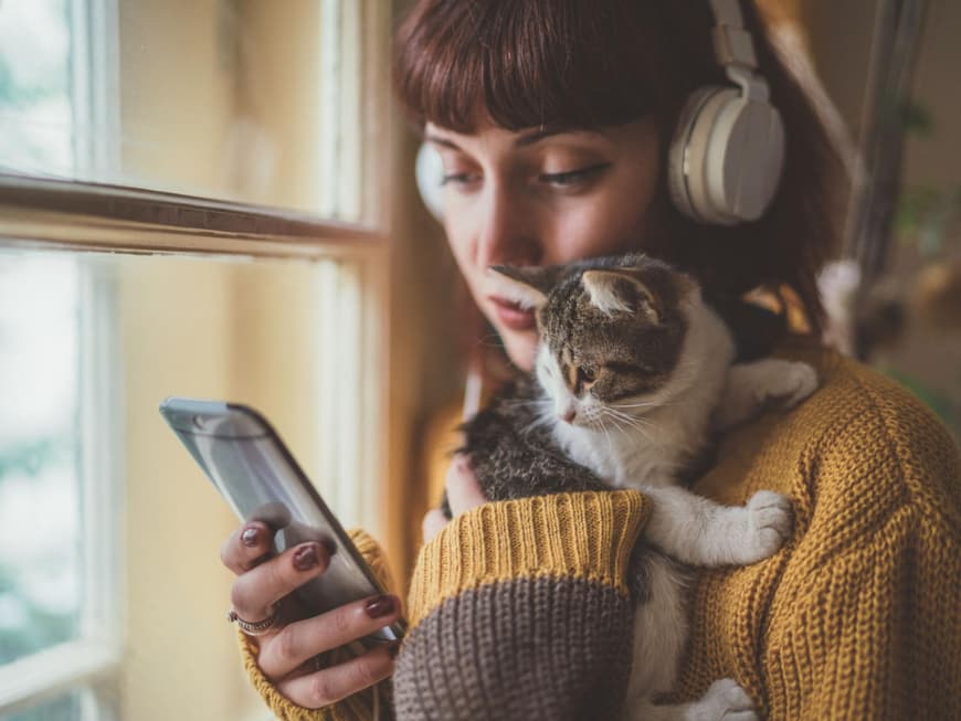 spotify-playlist-musik-haustiere