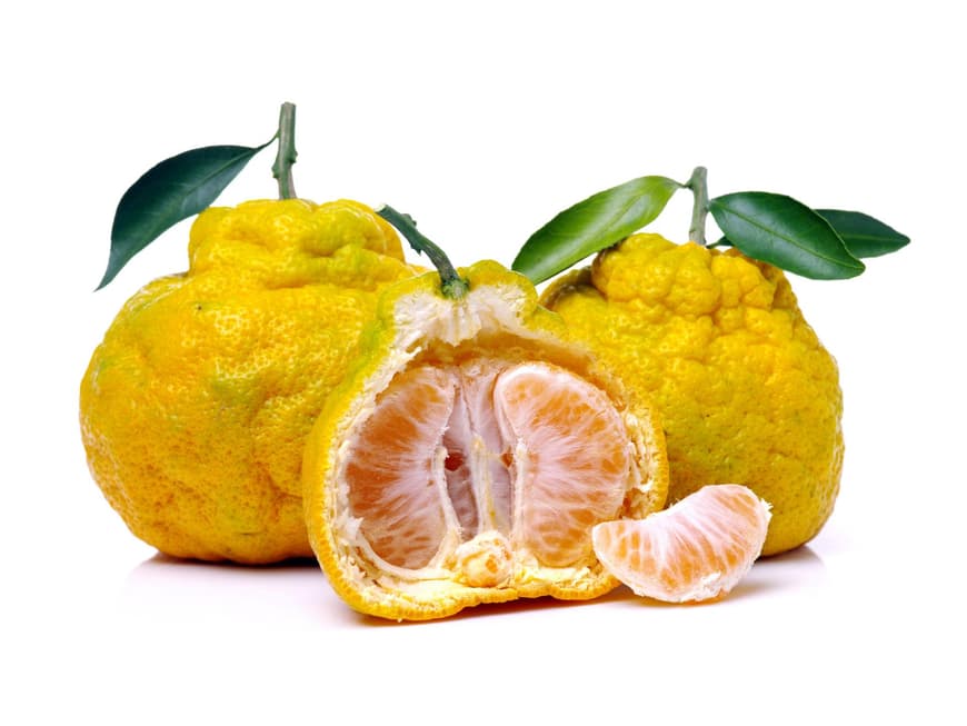 ugli-frucht-superfood-hilft-beim-abnehmen