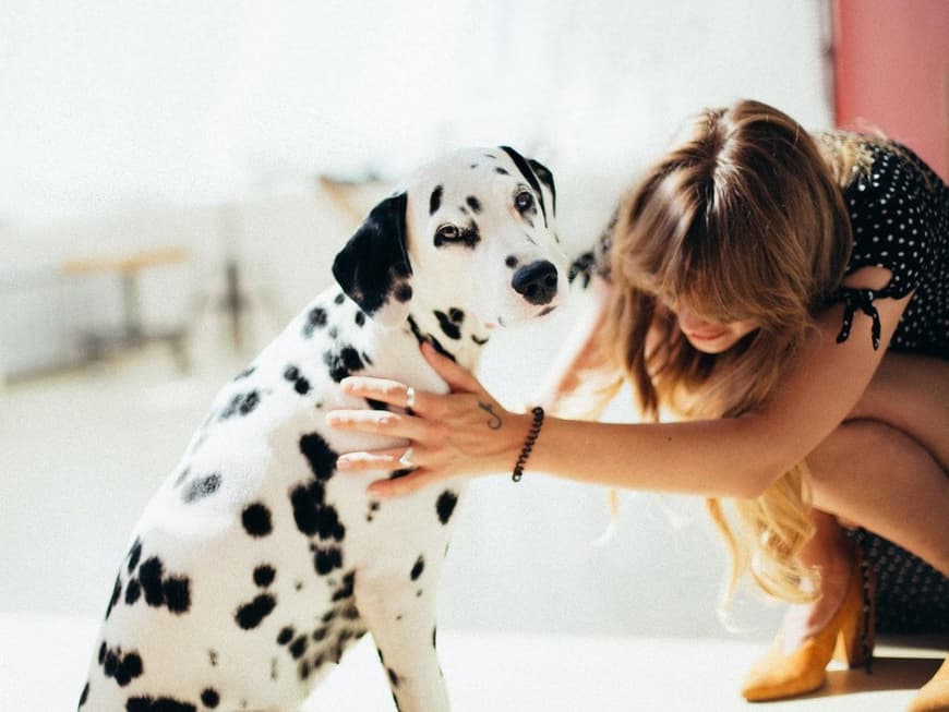 diese-dinge-zeigen-das-dein-hund-dich-liebt