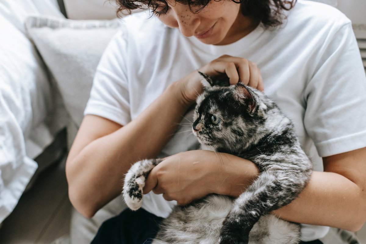5 Anzeichen, dass deine Katze böse auf dich ist