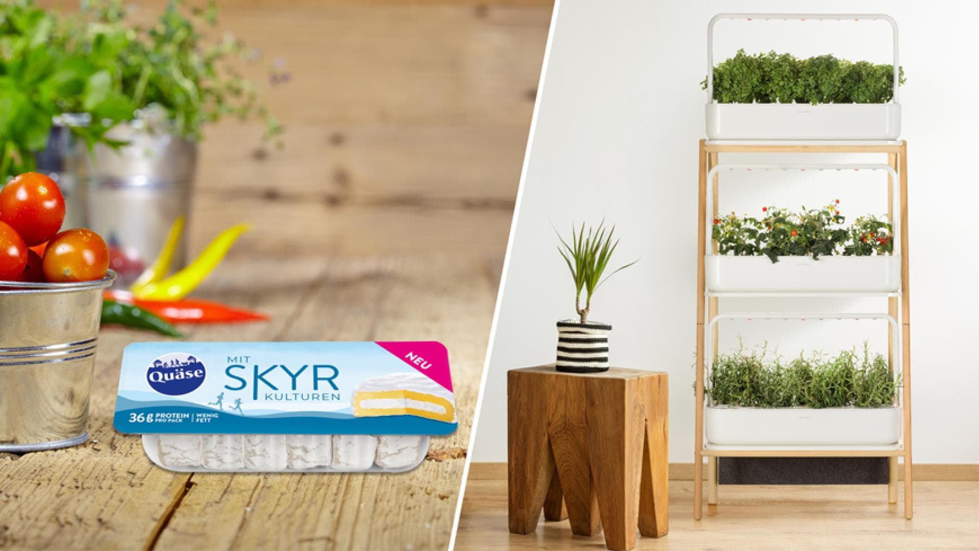 Mit Quäse einen Smart Garden gewinnen