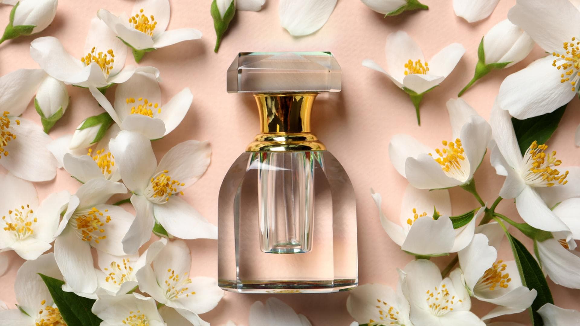 ParfumTrends 2022 Das sind die 5 beliebtesten Düfte mit Jasmin