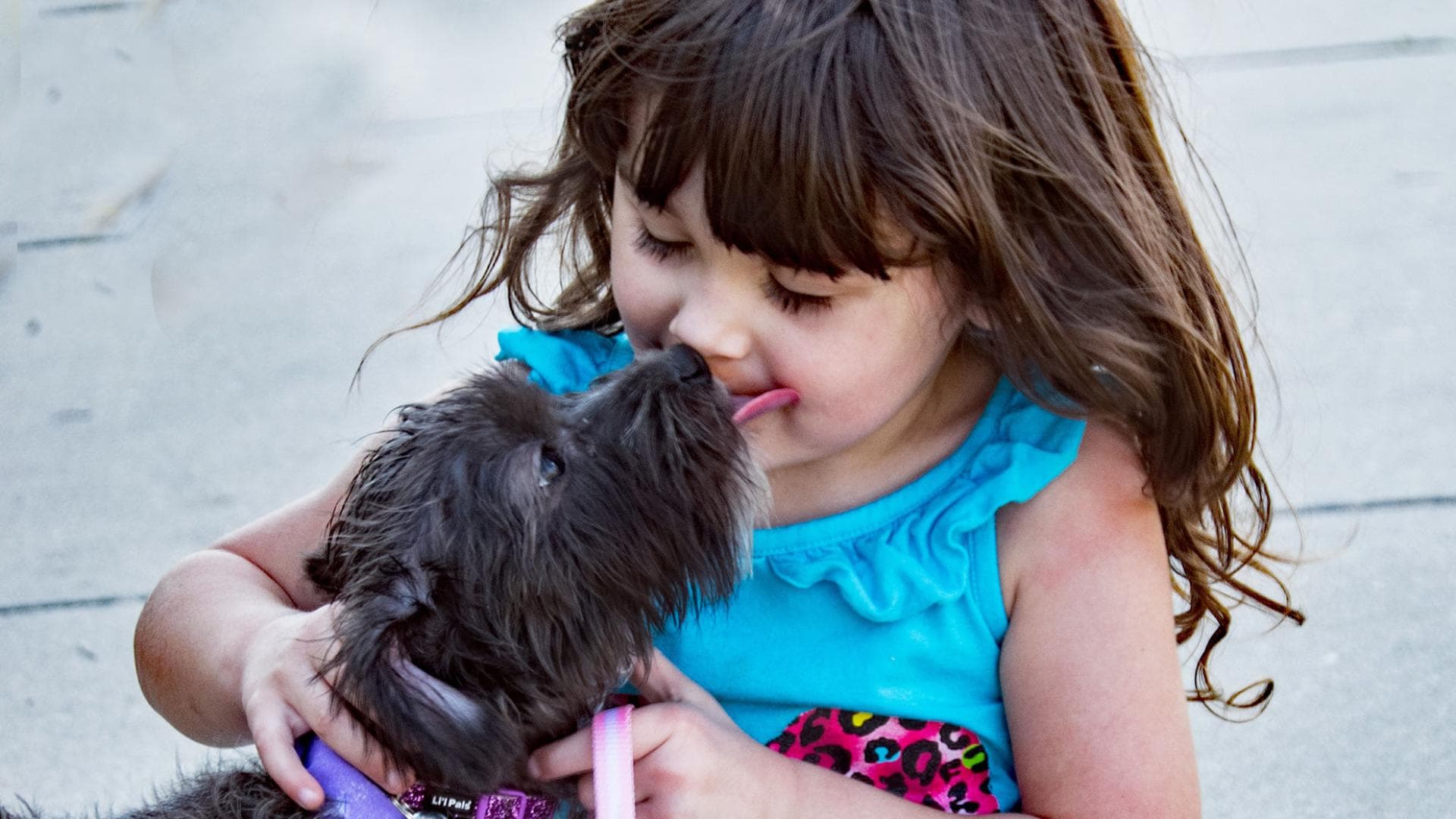 Achtung! Darum sollte man seinen Hund niemals küssen