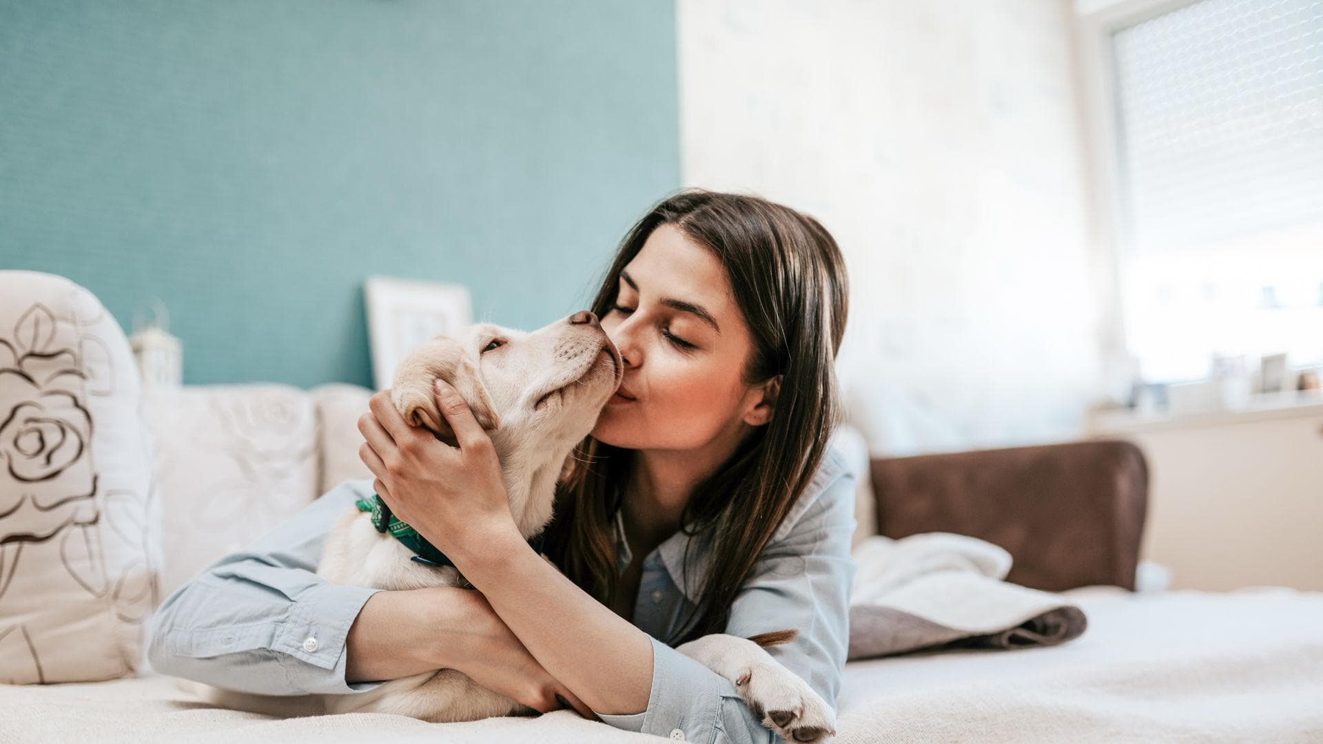 Darum sollten wir unseren Hund im Bett schlafen lassen